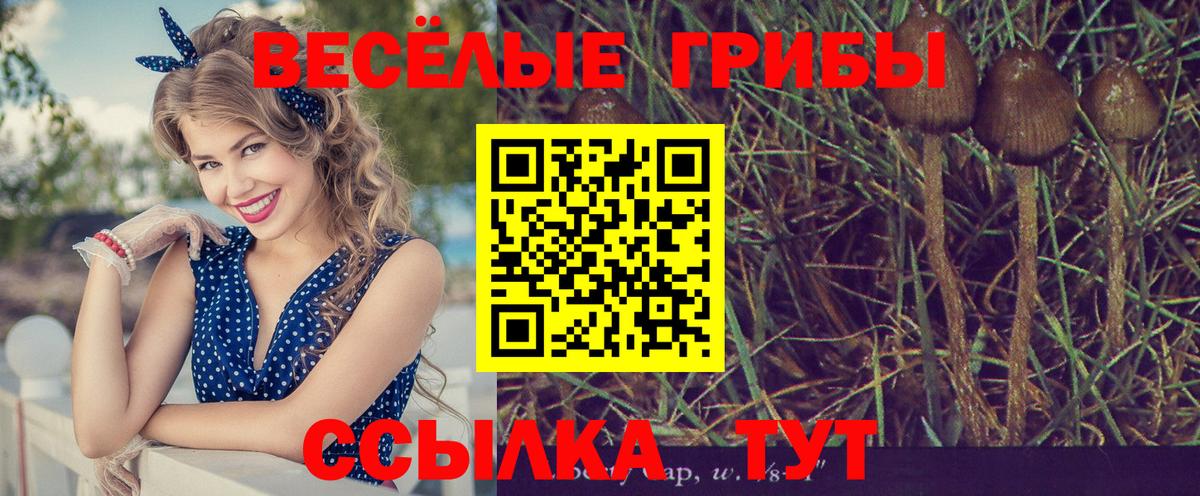 купить наркоту  Вход с VPN  Великие Луки  Псилоцибиновые грибы Psilocybe 